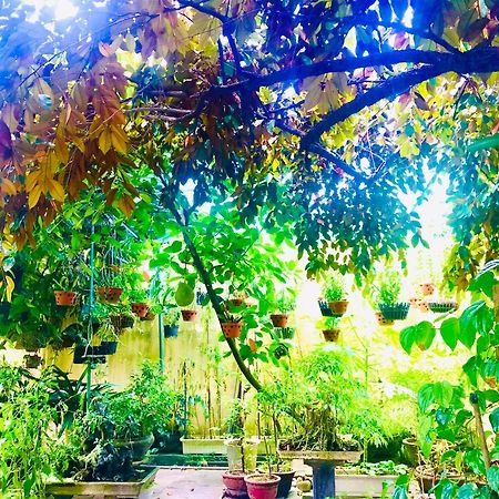 Pebble Homestay Χόι Αν Εξωτερικό φωτογραφία