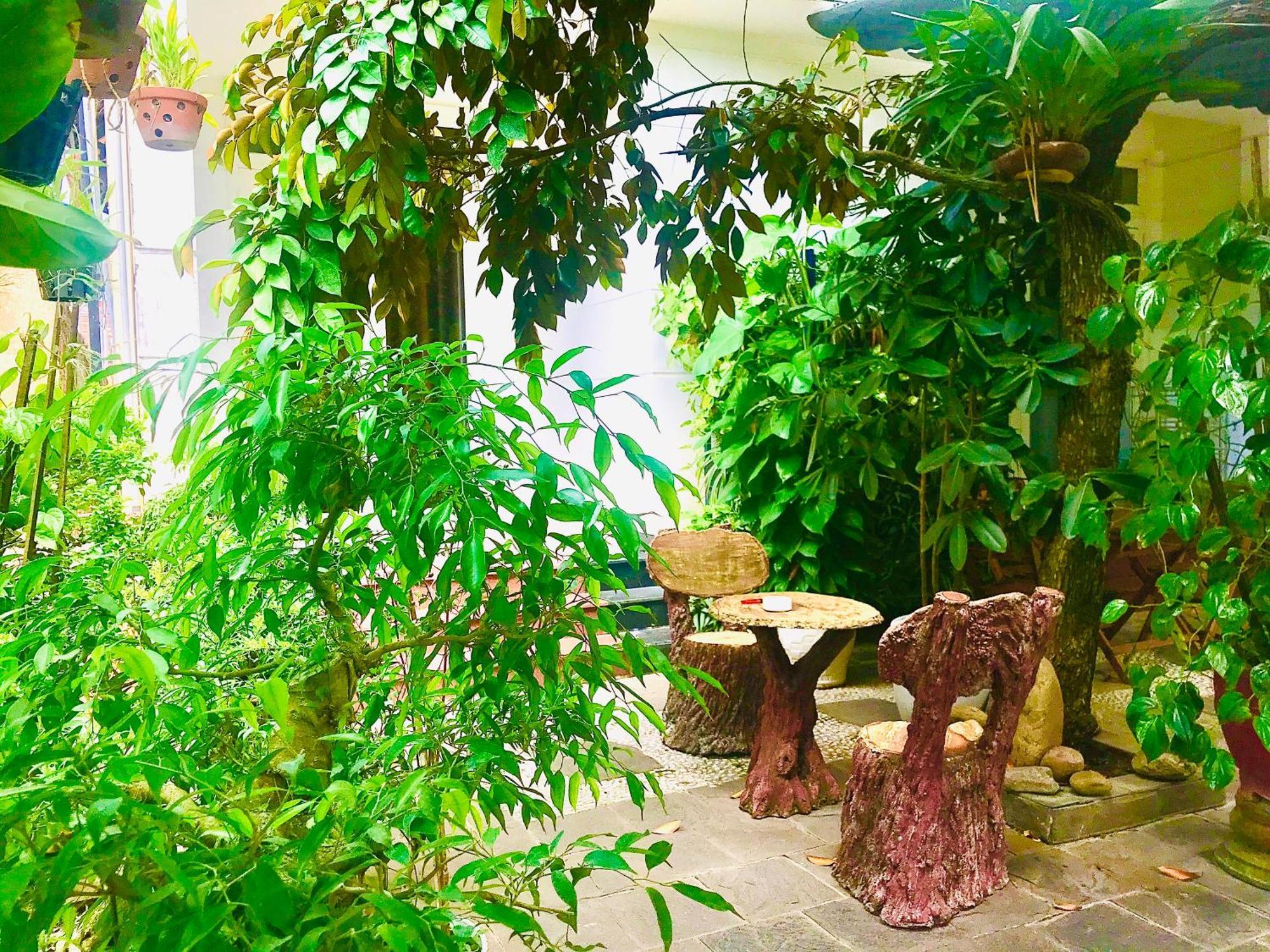 Pebble Homestay Χόι Αν Εξωτερικό φωτογραφία